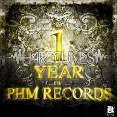 VA - 1 Year Of PHM Records (2011)