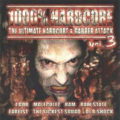 VA - 1000% Hardcore - The Ultimate Hardcore & Gabber Attack Vol. 3 (2007)