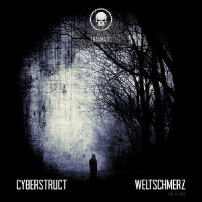 Cyberstruct - Weltschmerz (2014)