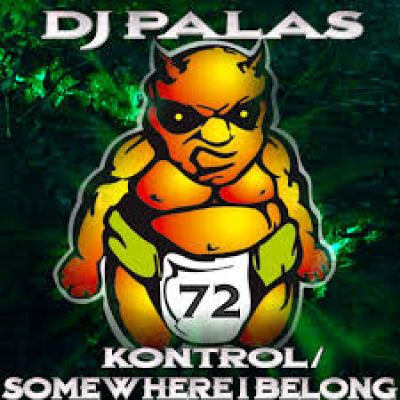 DJ Palas - Kontrol (2013)