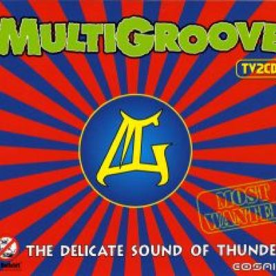VA - Multigroove The Delicate Sound Of Thunder (2004)