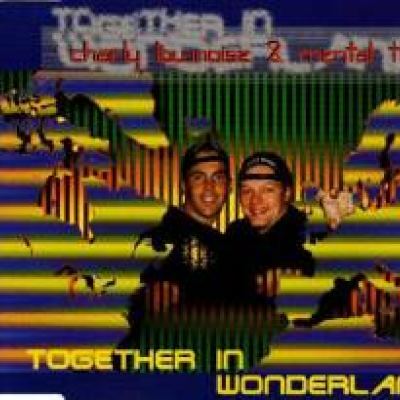 Charly Lownoise & Mental Theo - Together In Wonderland (1995)