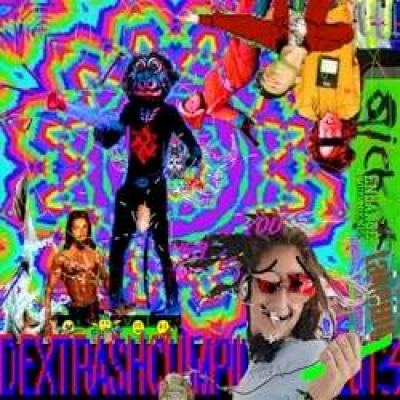 VA - Dextrashcumpilation2013 (2009)