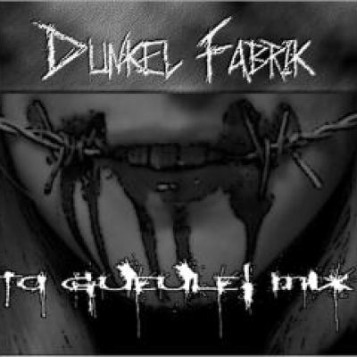 Dunkel Fabrik - Ta Gueule Mix (2011)