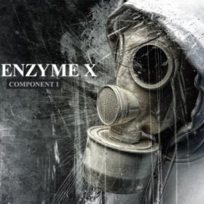 Enzyme X - Component 2 (2010)