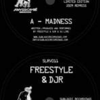 Freestyle & DJR - Madness / Ten 44 (1993/2009)