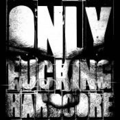 VA - Only Fucking Hardcore (2010)