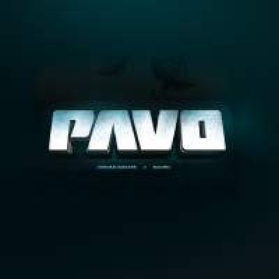Pavo - Communicate / Raven (2009)