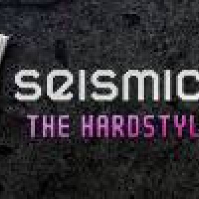 VA - Seismic Records - The Hardstyle Album Part 2 (2008)