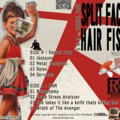 VA - Split Face Hair Fish vol.1 (2011)