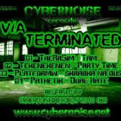 VA - Terminated (2010)