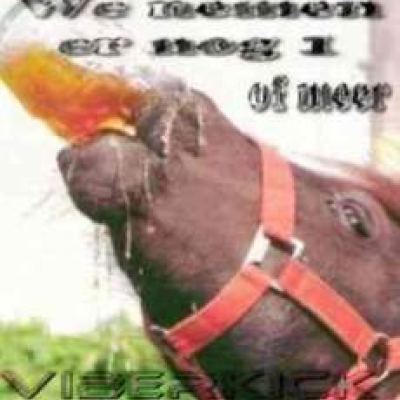 Viberkick - We Nemen Er Weer 4 (2010)