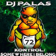 DJ Palas - Kontrol (2013)