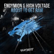 Endymion & High Voltage - About To Get Raw (2015)