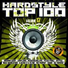 VA - Hardstyle Top Vol. 17 (2014)