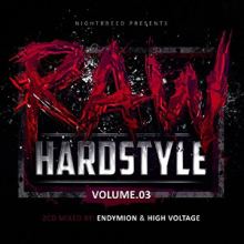 VA - Raw Hardstyle Volume 03 - Mixed By Endymion & High Voltage (2015)