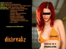 Disbreakz - Rhythm Is A Breakcore (2010)