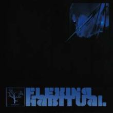 The Flashbulb - Flexing Habitual (2006)
