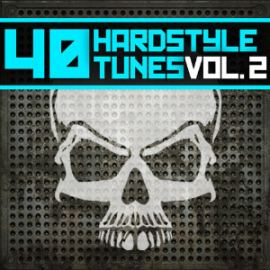 VA - 40 Hardstyle Tunes Vol. 2 (Unmixed) (2009)