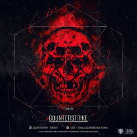 Counterstrike & Cooh - Stalker/Teroma (Counterstrike Remix) (2016)