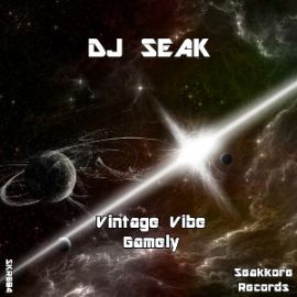 DJ Seak - Vintage Vibe / Gamely (2015)