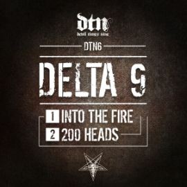 Delta 9 - Into The Fire / 200 Heads (2015)