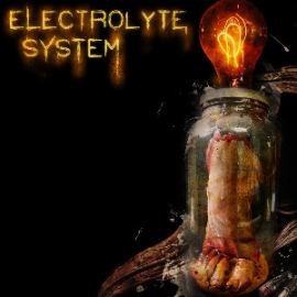 Electrolyte System - Crush Them (2013)