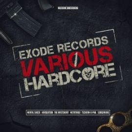 VA - Various Hardcore Vol 1 (2016)