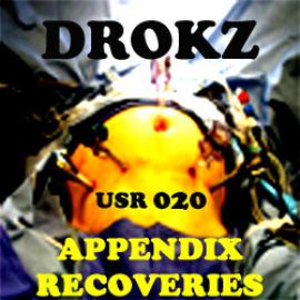 Drokz - Appendix Recoveries (2007)