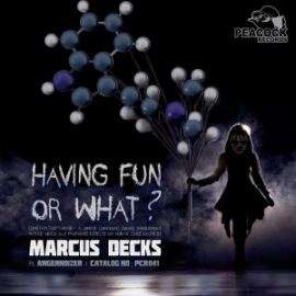 Marcus Decks - Having Fun Or What ? (2016)