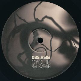 Cyclic Backwash - Obs.cur HS06 (2015)