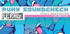 Punx Soundcheck feat Feral Is Kinky - Heavy Medication (Endymion Remix) (2012)