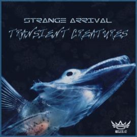 Strange Arrival - Transient Creatures (2015)
