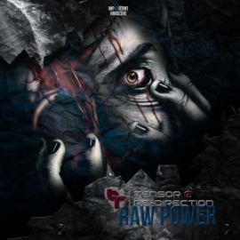 Tensor & Re-Direction - Raw Power (2015)