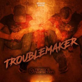 Tensor & Re-Direction - Troublemaker (2016)