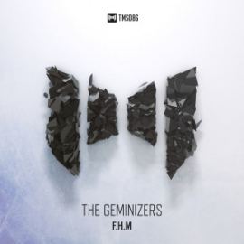 The Geminizers - F.H.M. (2016)