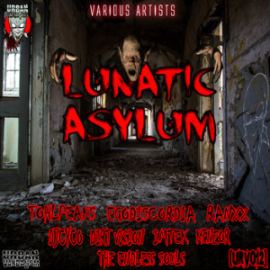 VA - Lunatic Asylum (2014)