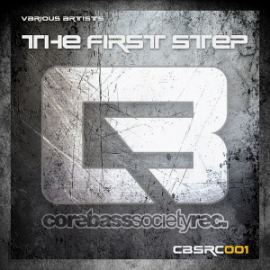 VA - The First Step (2014)