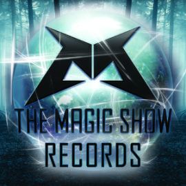 VA - The Magic Show Top 100 2013 (Mixed By Zero Sanity) (2014)