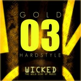 VA - Wicked Hardstyle Gold 03 (2010)