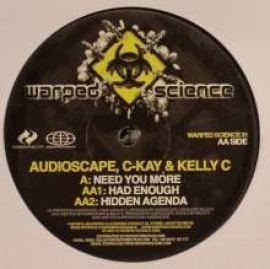 Audioscape, C-Kay & Kelly C - Need You More / Had Enough / Hidden Agenda (2008)
