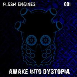 VA - Awake Into Dystopia (2012)