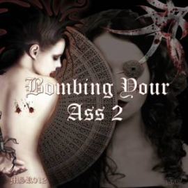 VA - Bombing Your Ass 2 (2011)