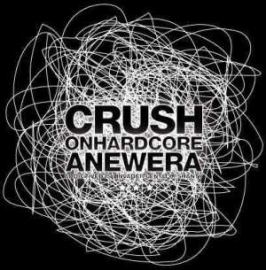 VA - Crush on Hardcore 3 (2008)