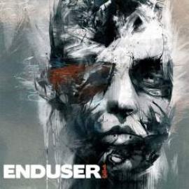Enduser - 1/3 (2010)