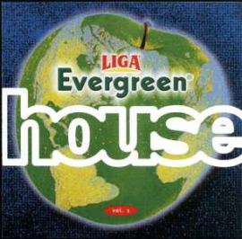 VA - Evergreen House Vol. 1 (1995)