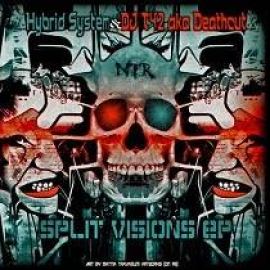 Hybrid System / Dj T42 aka Deathcut - Split Visions (2011)
