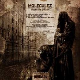 Moleculez ft. Mental Wreckage & The Relic - Calling The Shadows (2010)