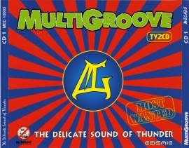 VA - MultiGroove - The Delicate Sound Of Thunder (1997)