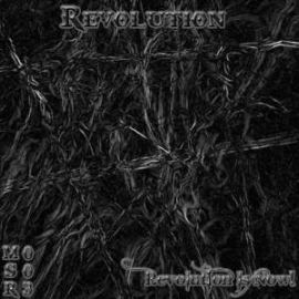 VA - Revolution (2010)